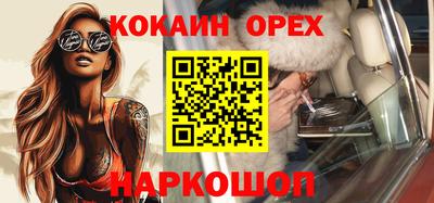 индика Можга