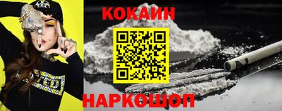 индика Можга