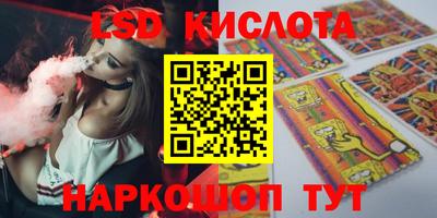 индика Можга