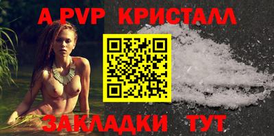 индика Можга