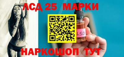 индика Можга
