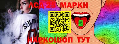 индика Можга