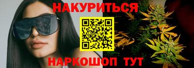 индика Можга