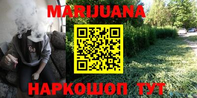 индика Можга
