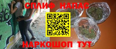 индика Можга