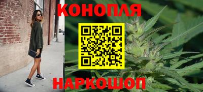 индика Можга