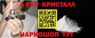 индика Можга
