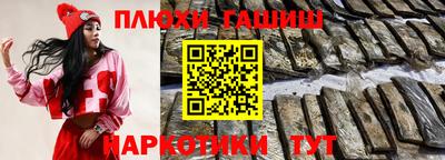 индика Можга
