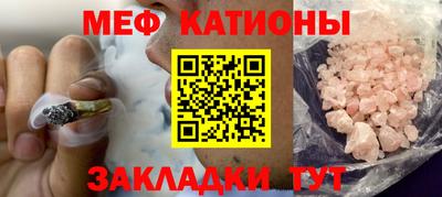 индика Можга