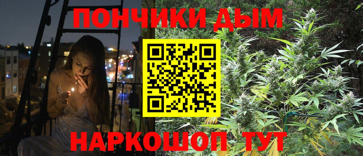 Бошки Шишки планчик  Конопля семена  Бошки Шишки сатива  Вход с VPN  Канабис ГИДРОПОН  Подольск 